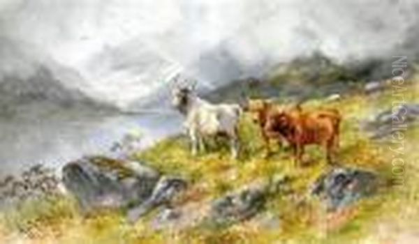 Highland Cattle In Landscape Oil Painting by Hugo Anton Fisher