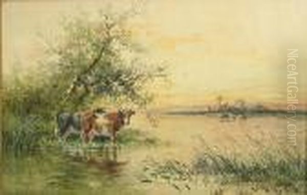 Cattle Watering Oil Painting by Hugo Anton Fisher