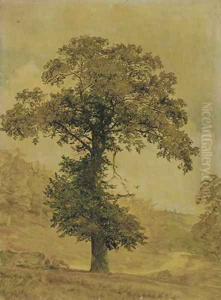 Study of a Tree Oil Painting by Jasper Francis Cropsey