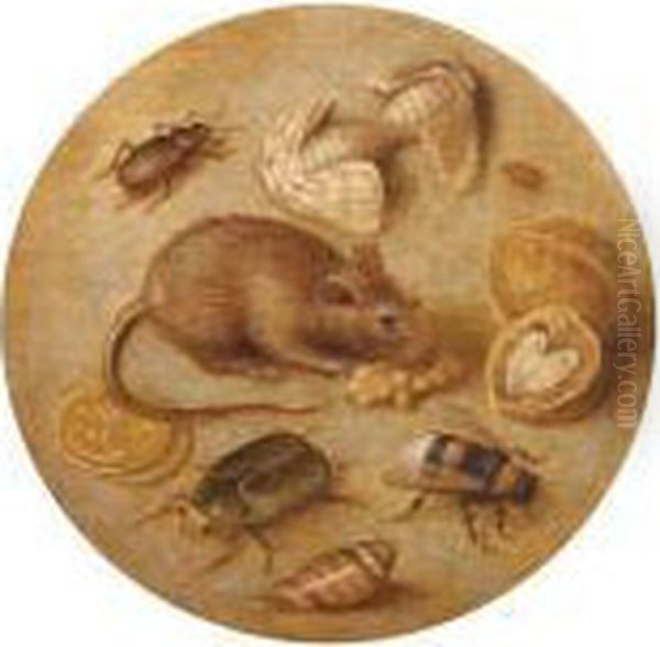 Stillleben Mit Einer Maus, Insekten, Munzen Und Walnussen Oil Painting by Georg Flegel