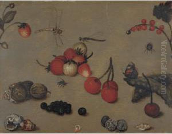 Still Life Studies Of Cherries, Shells, Berries, Peapods, Coins And Insects Oil Painting by Georg Flegel