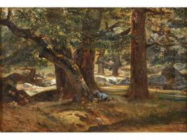 Sous-bois A Fontainebleau Oil Painting by Camille Flers