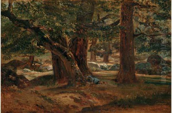 Sous-bois A Fontainebleau Oil Painting by Camille Flers