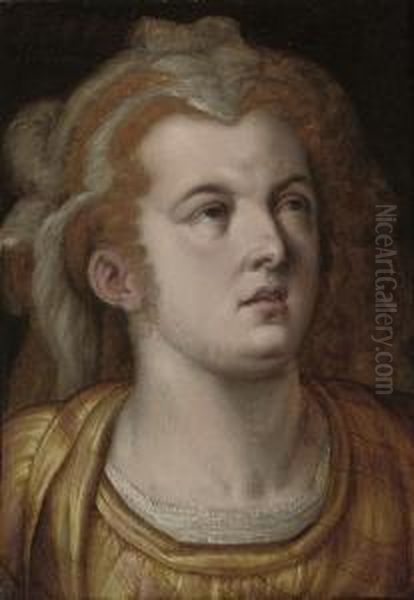 Head Of A Woman Oil Painting by Frans I Vriendt (Frans Floris)