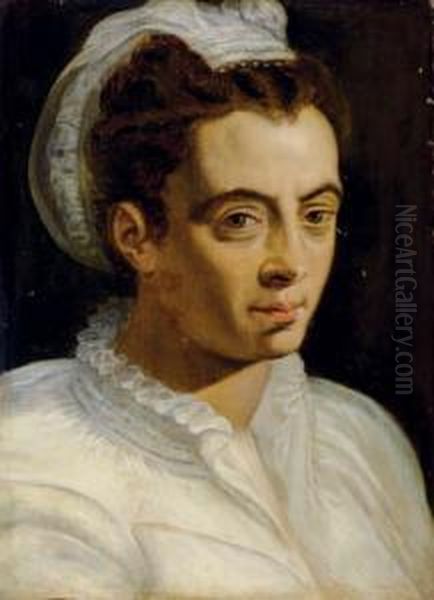 Portrait Of A Woman In A White Chemise And Headdress Oil Painting by Frans I Vriendt (Frans Floris)