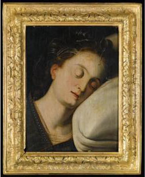 The Head Of A Sleeping Woman Oil Painting by Frans I Vriendt (Frans Floris)