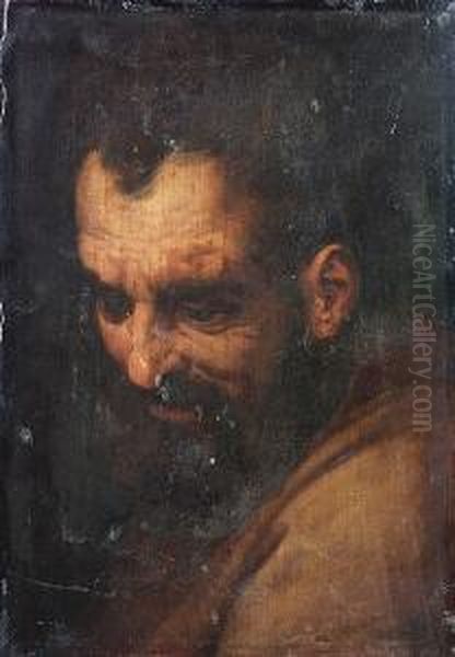 The Head Of A Bearded Man Oil Painting by Frans I Vriendt (Frans Floris)