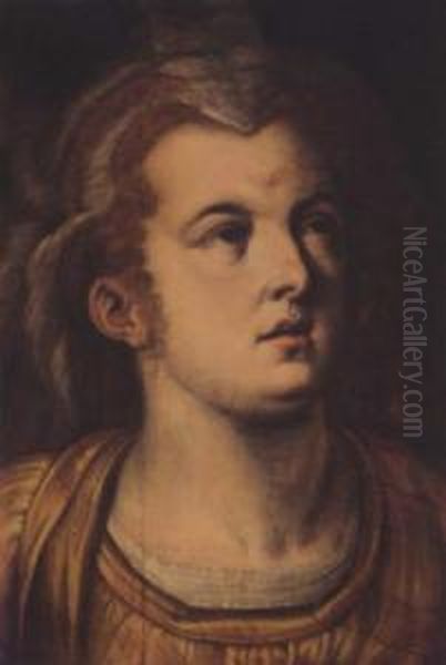 Head A Woman Oil Painting by Frans I Vriendt (Frans Floris)