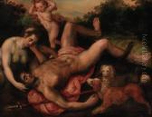 Venus And Adonis Oil Painting by Frans I Vriendt (Frans Floris)