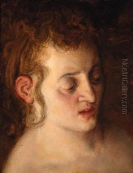 The Head Of A Woman - A Study Oil Painting by Frans I Vriendt (Frans Floris)