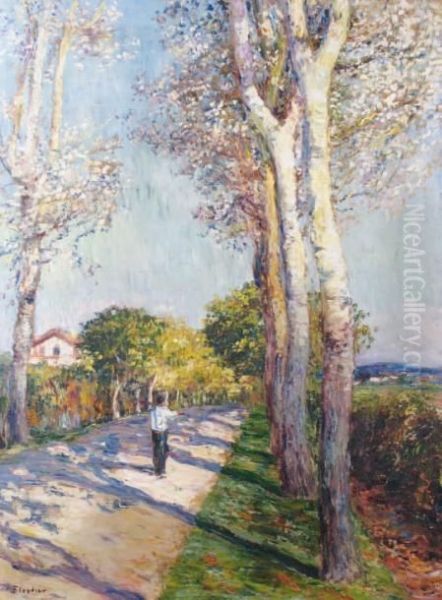 Route Bordee D'arbres Au Pays Basque Oil Painting by Louis Floutier