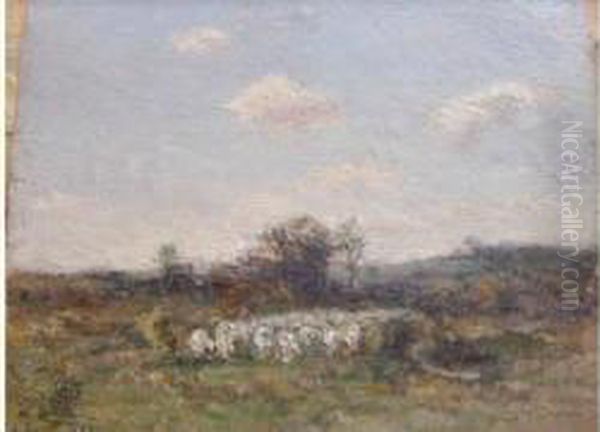 Le Troupeau De Moutons Oil Painting by Des Andre Fontaines