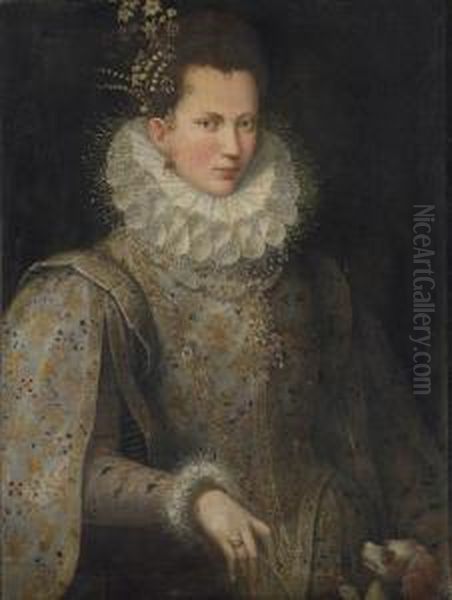 Portrait Of A Lady, Half-length, In An Embroidered Gown And Whitecollar, With A Dog Oil Painting by Lavinia Fontana