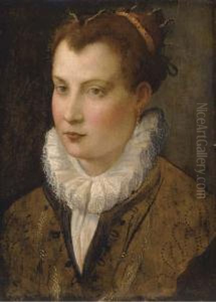 Portrait Of A Lady, Bust-length, In A Ruff Oil Painting by Lavinia Fontana