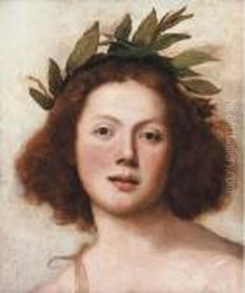 Head Of Apollo Oil Painting by Girolamo Forabosco