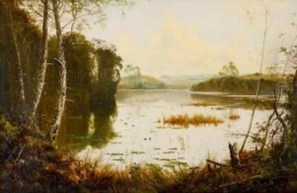 Untitled (view Of Lake St Clair, Tasmania) Oil Painting by H. Forrest