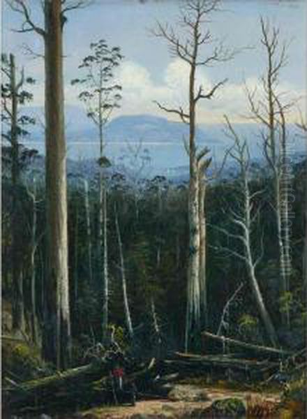 Tasmanian View Oil Painting by H. Forrest