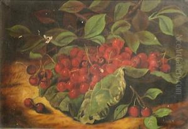 A Still Life With Cherries Oil Painting by George Forster