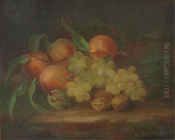 Still Life With Peaches, Grapes And Walnut Oil Painting by George Forster