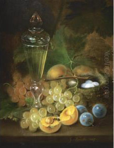 Still Life With Grapes And Nest Oil Painting by George Forster