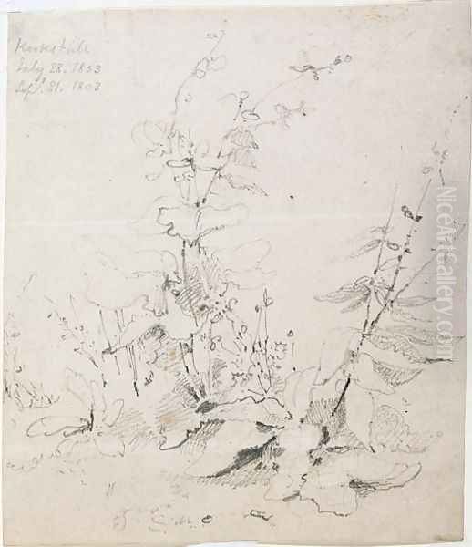 Study of Weeds, Kirkstall, 1803 Oil Painting by John Sell Cotman