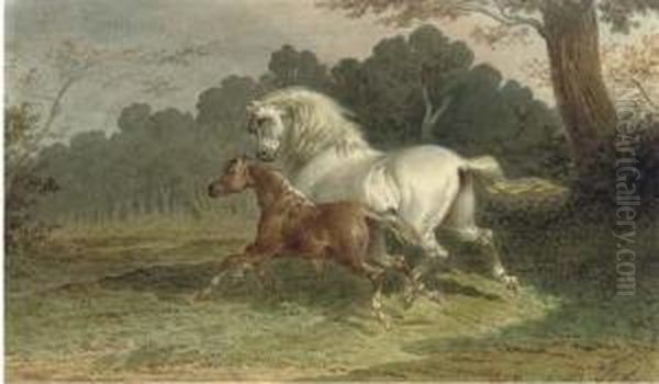 A Grey Mare Galloping Through A Meadow With Her Foal At Her Side Oil Painting by Theodore Fort