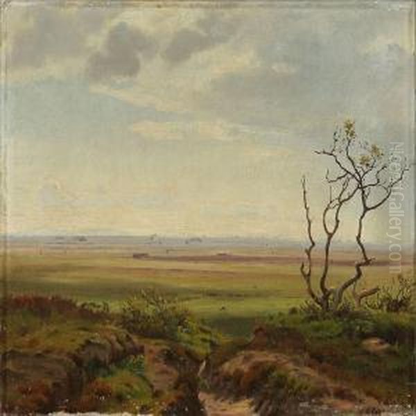 View Of A Landscape Oil Painting by Harald Foss