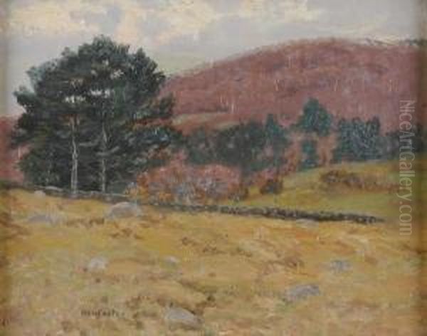 Hillside Oil Painting by Ben Foster