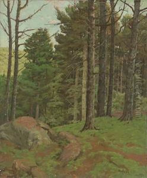 Afternoon Amidst The Pines Oil Painting by Ben Foster