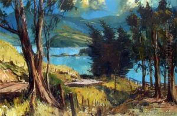 Akaroa Harbour From Robinsons Bay Oil Painting by William Frederick Foster