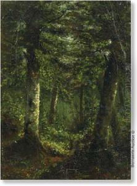 Woodview Oil Painting by Theodore Fourmois