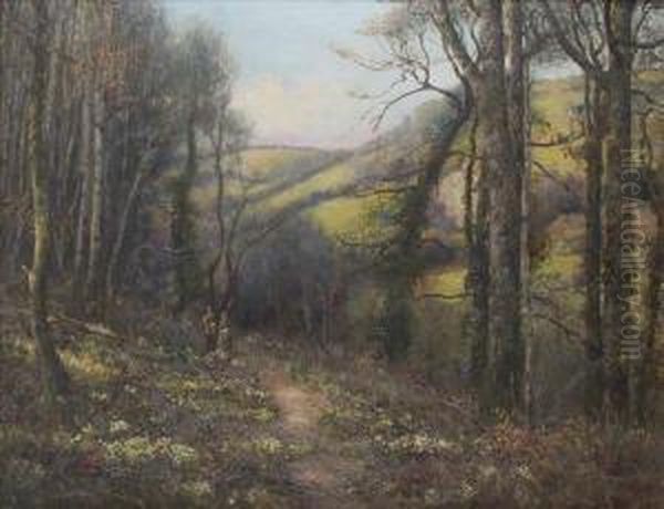 A Woodlandglade Oil Painting by Charles James Fox