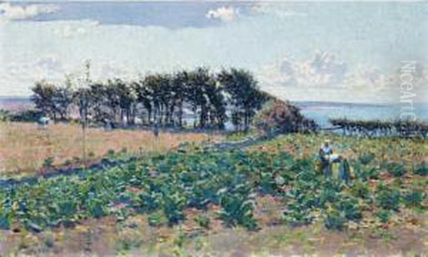 The Cabbage Patch Oil Painting by Emanuel Phillips Fox