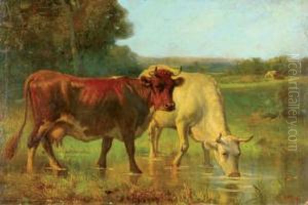 Cows Watering Oil Painting by Robert Atkinson Fox