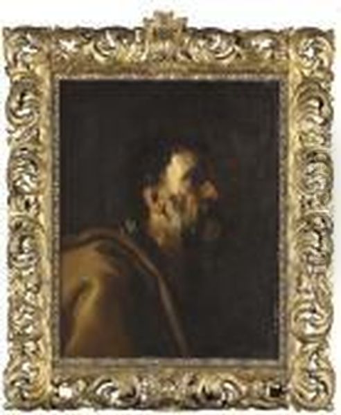 Head Of A Bearded Man, Possibly Saint Peter Oil Painting by Francesco Fracanzano