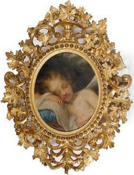 Sleeping Putto Oil Painting by Baldassarre Franceschini