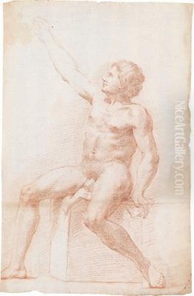 A Study Of A Male Nude Oil Painting by Baldassarre Franceschini