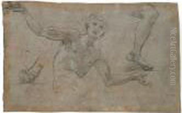 A Sheet Of Studies: A Male 
Figure, Half Length, His Arms Outstreched, And Separate Studies Of A 
Left Leg And Right Foot Oil Painting by Baldassarre Franceschini