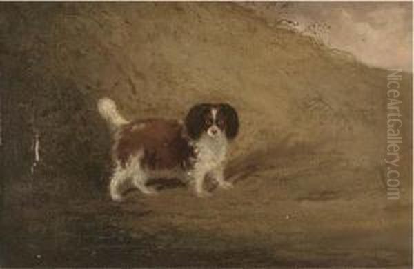 A Spaniel In A Landscape Oil Painting by Francis Sartorius