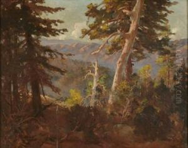 Sunlit Trees In A Mountain Landscape Oil Painting by John Bond Francisco