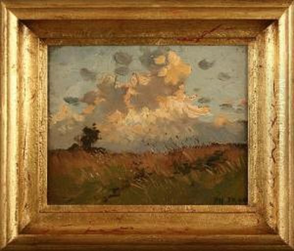 Sommerliche Wiesenlandschaft Unter Hohen Wolken Oil Painting by Philipp Franck