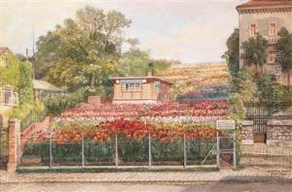 Derdahlienbauer In Wien Oil Painting by Friedrich Frank