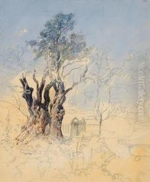 Garten Von Gethsemane, Jerusalem Oil Painting by Friedrich Frank