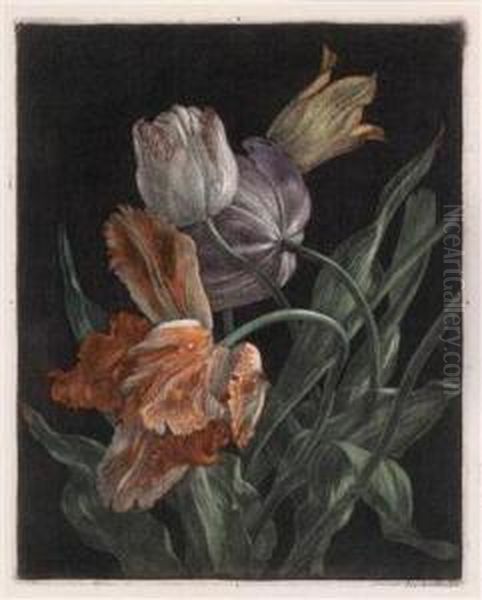 Tulpen Oil Painting by Hans Frank