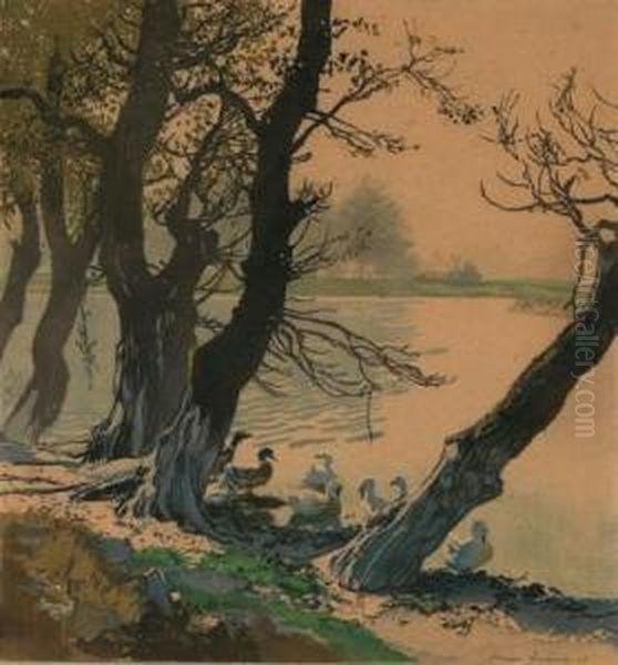 Enten Am Wasser Oil Painting by Hans Frank