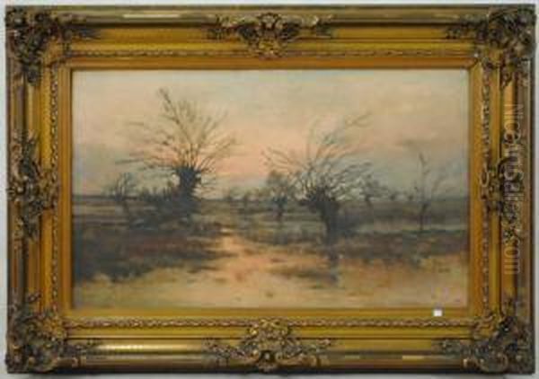 Paysage Marecageux Avec Saules Oil Painting by Lucien Frank