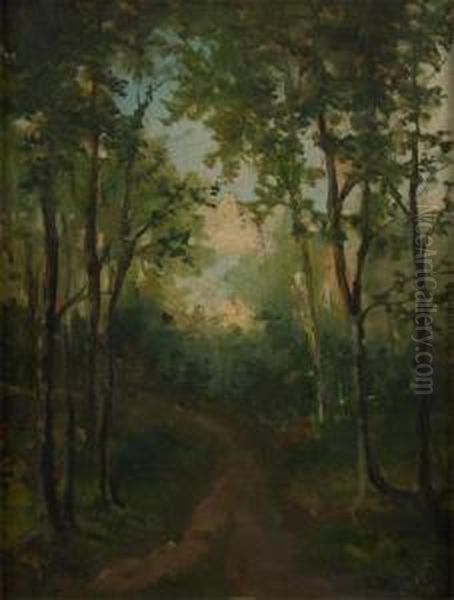 Chemin En Foret Oil Painting by Lucien Frank