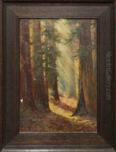 Autumn Among The Redwoods Near Boulder Creek Oil Painting by Lucien Frank