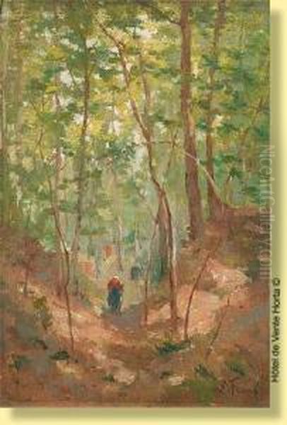 Sous-bois En Foret De Soignes Oil Painting by Lucien Frank