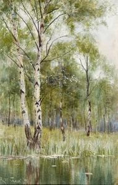 Silver Birch Trees Oil Painting by Robert Winter Fraser